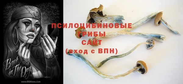 ГАЛЛЮЦИНОГЕННЫЕ ГРИБЫ Армянск