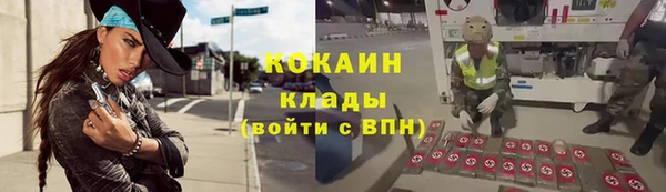 соль ск Алексеевка