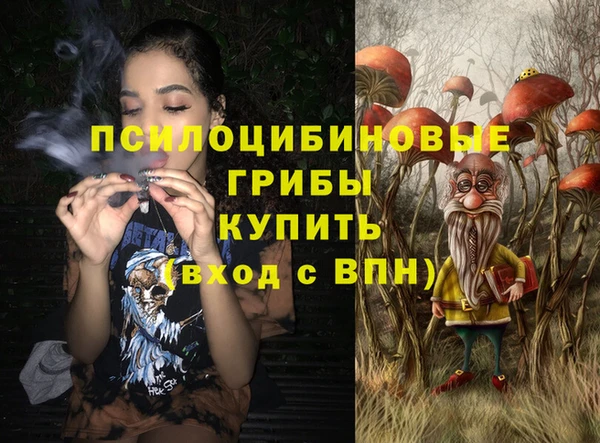 бошки Аркадак