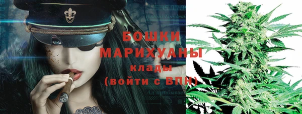 бошки Аркадак