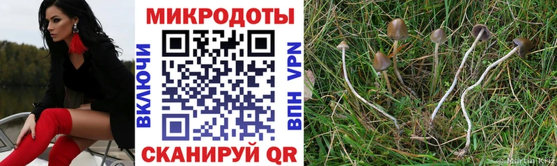blacksprut ТОР  Белебей  Псилоцибиновые грибы Magic Shrooms 